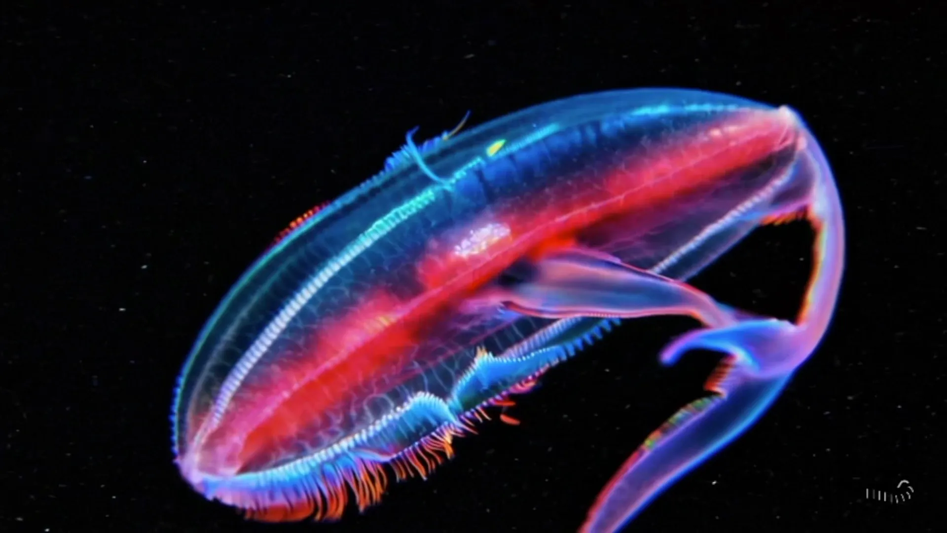 Life on Io screenshot