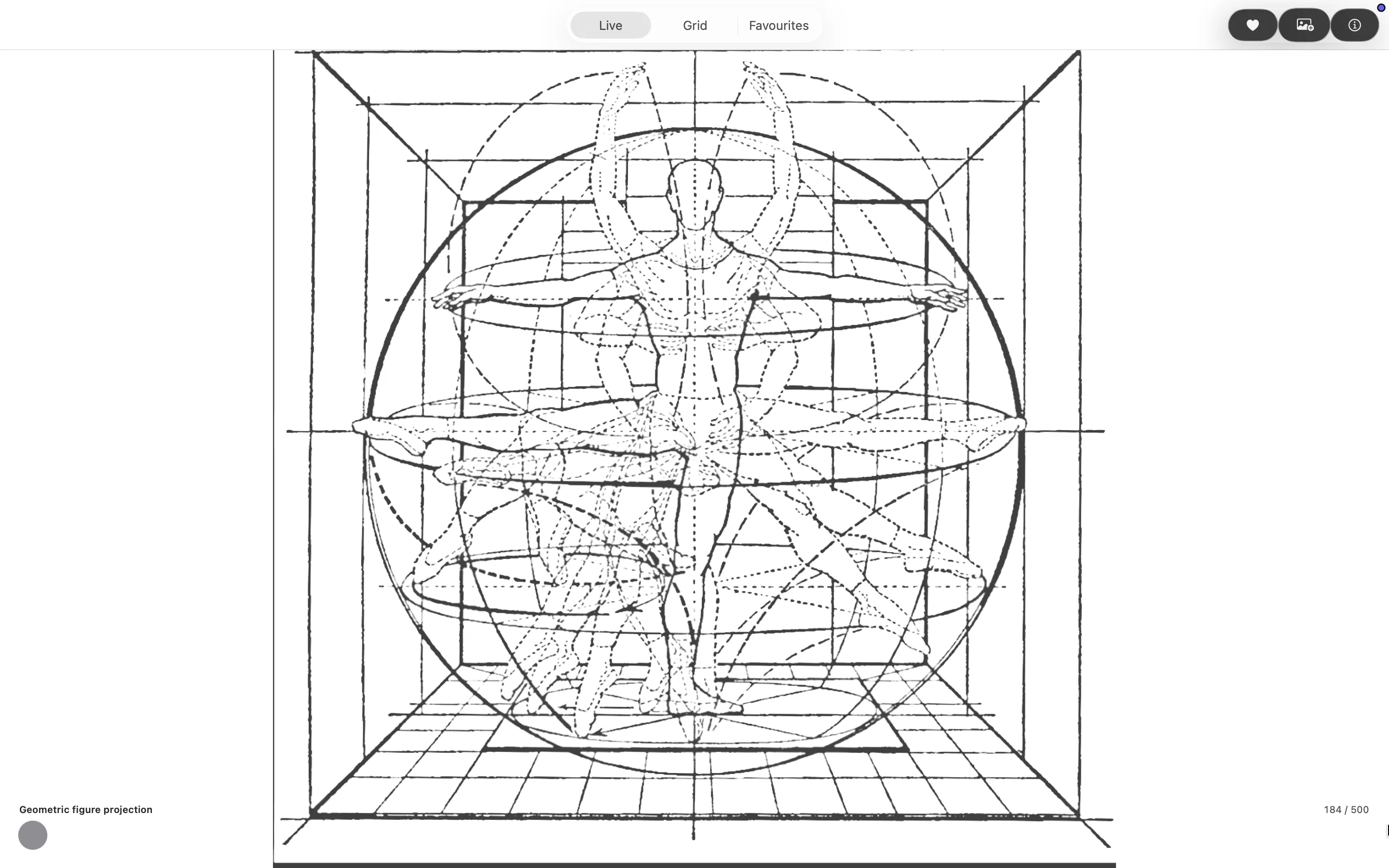 New Polygon Live Mode showing Geometric figure projection