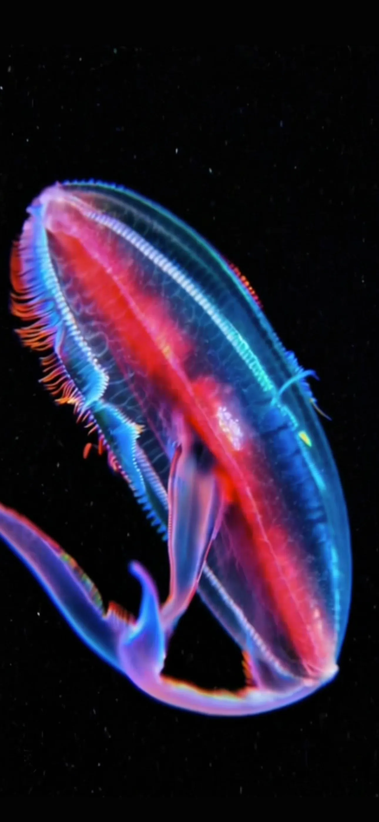 Life on Io screenshot