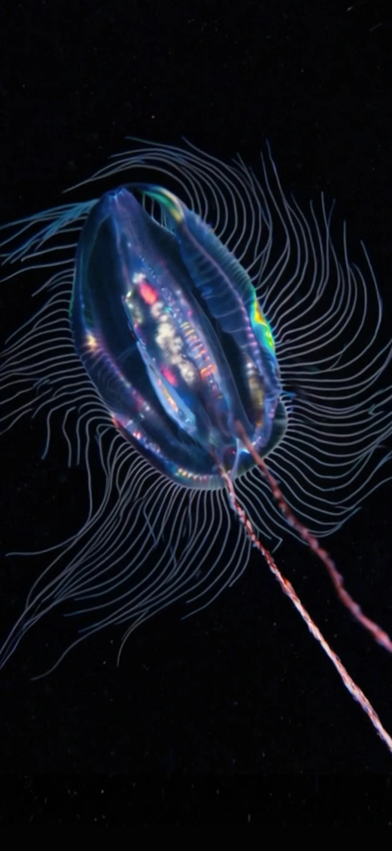 Life on Io screenshot