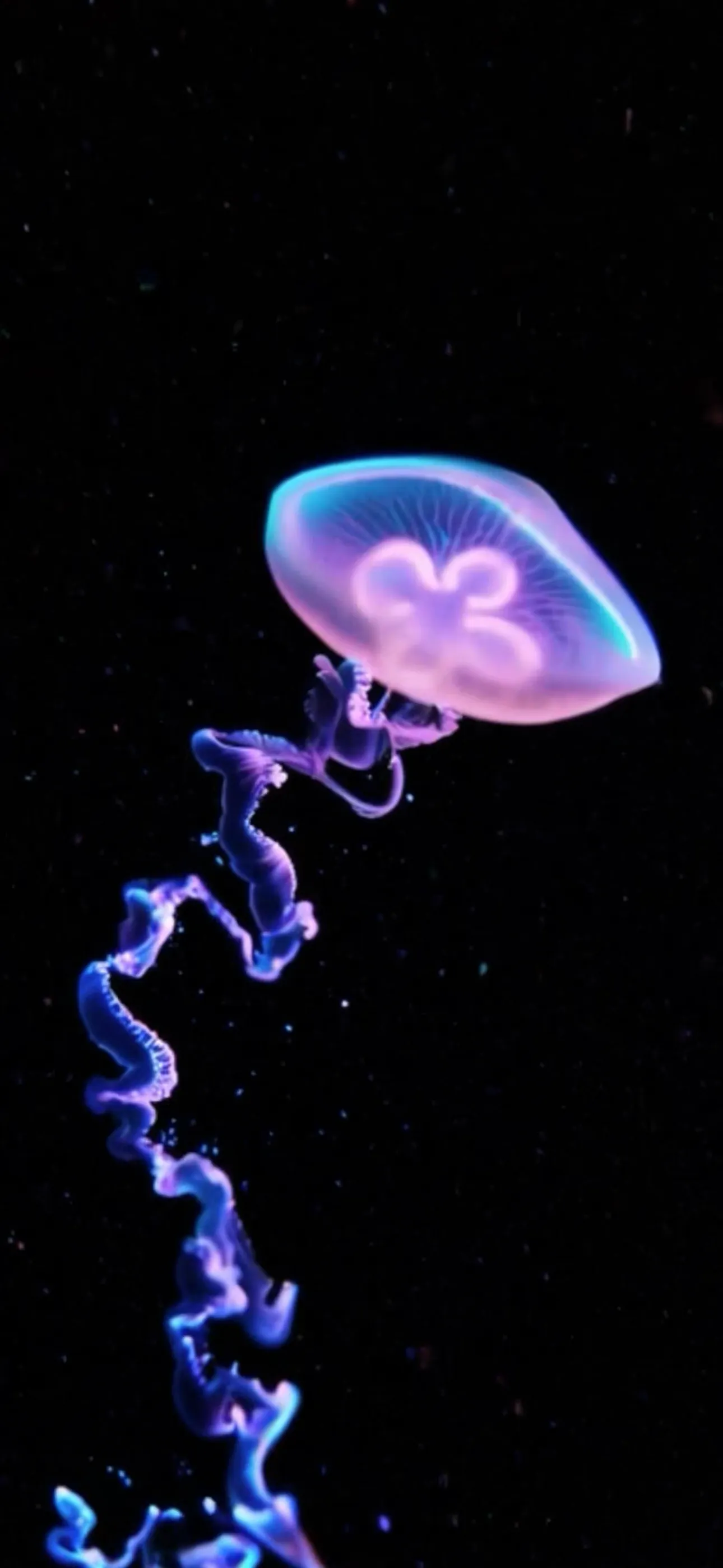 Life on Io screenshot