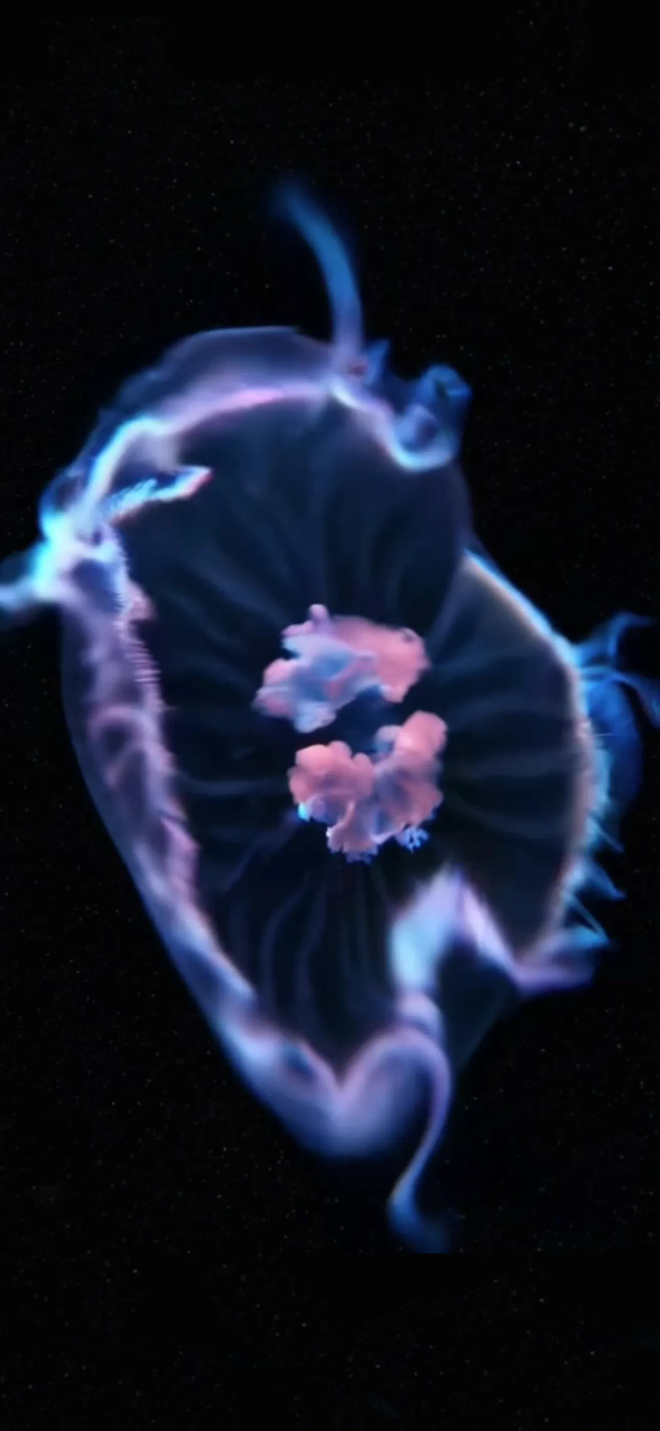 Life on Io screenshot