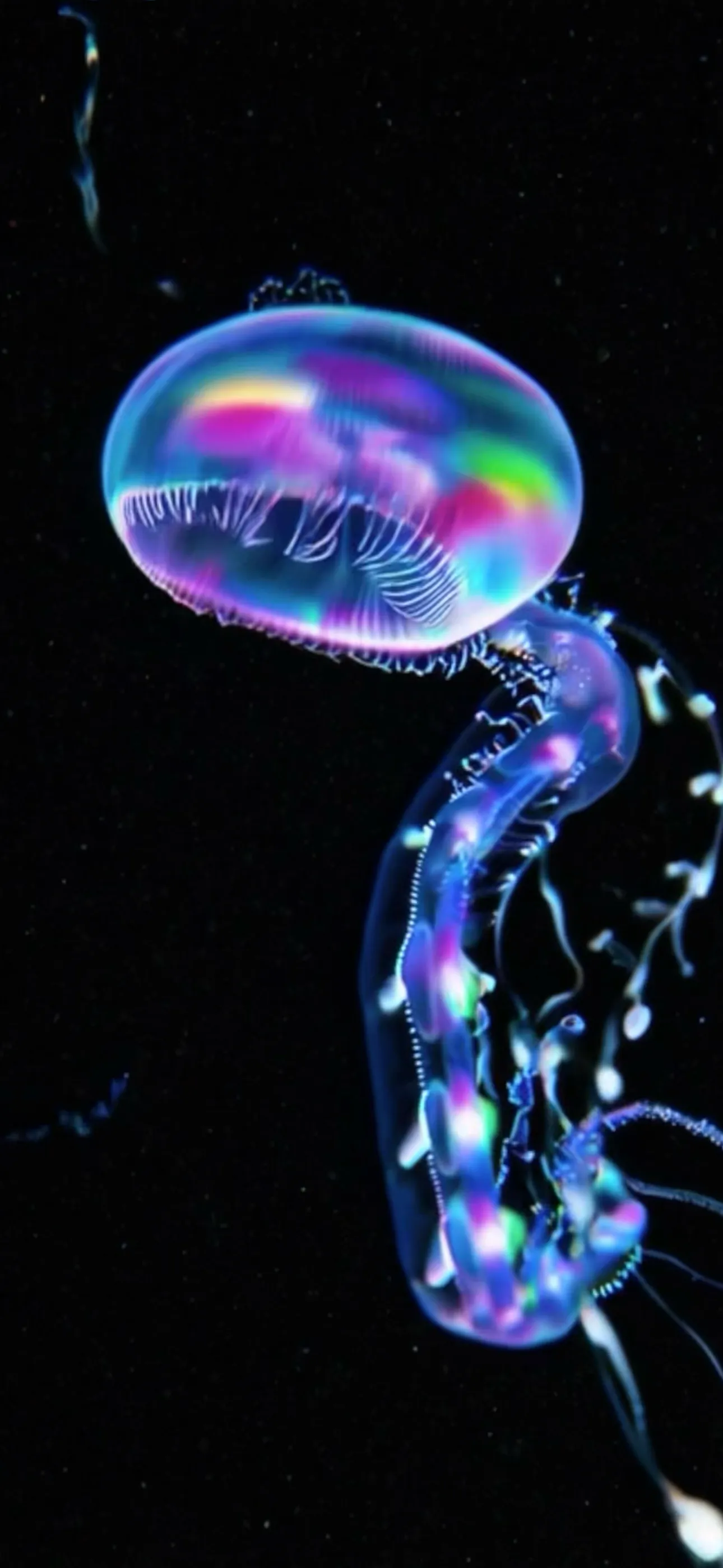 Life on Io screenshot