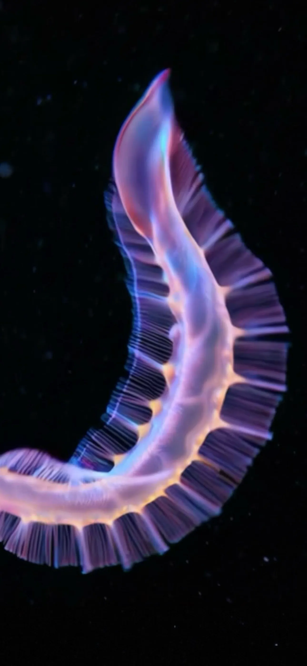 Life on Io screenshot