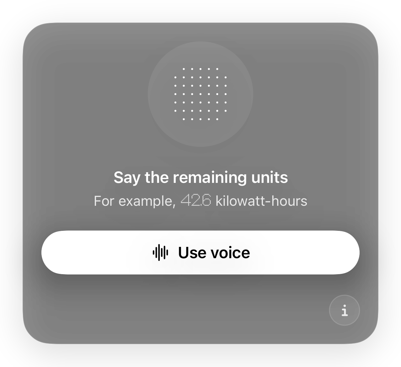 Electricity Meter voice entry