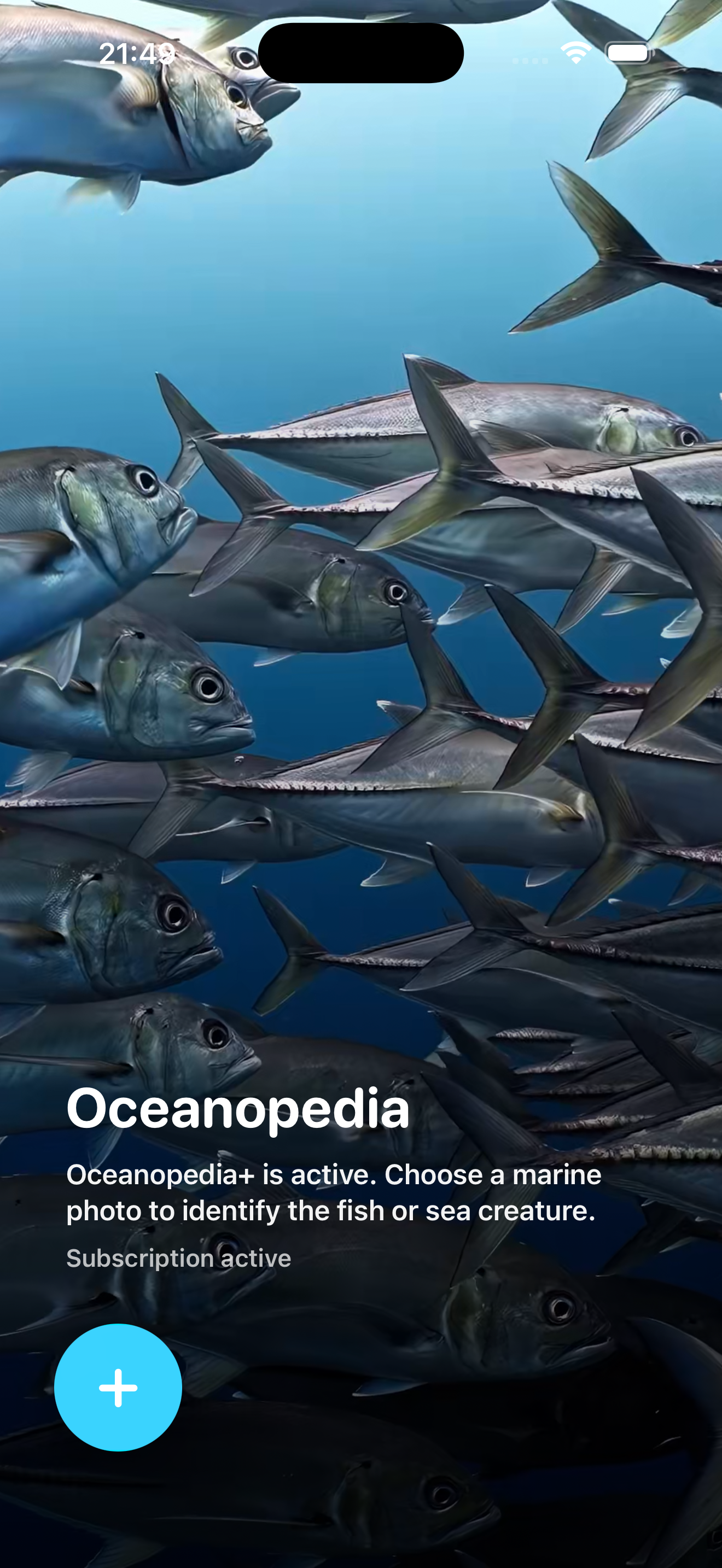 Oceanopedia app screenshot