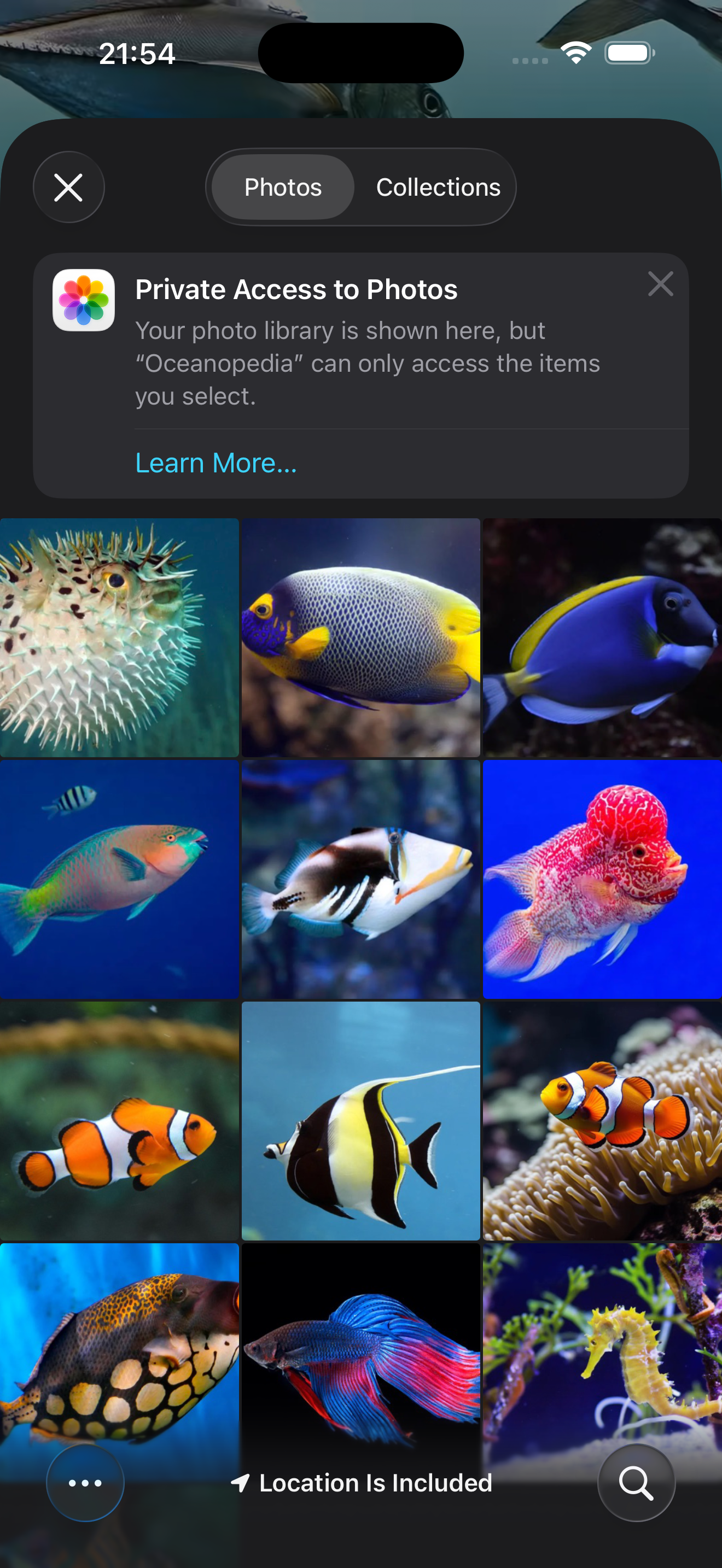 Oceanopedia app screenshot