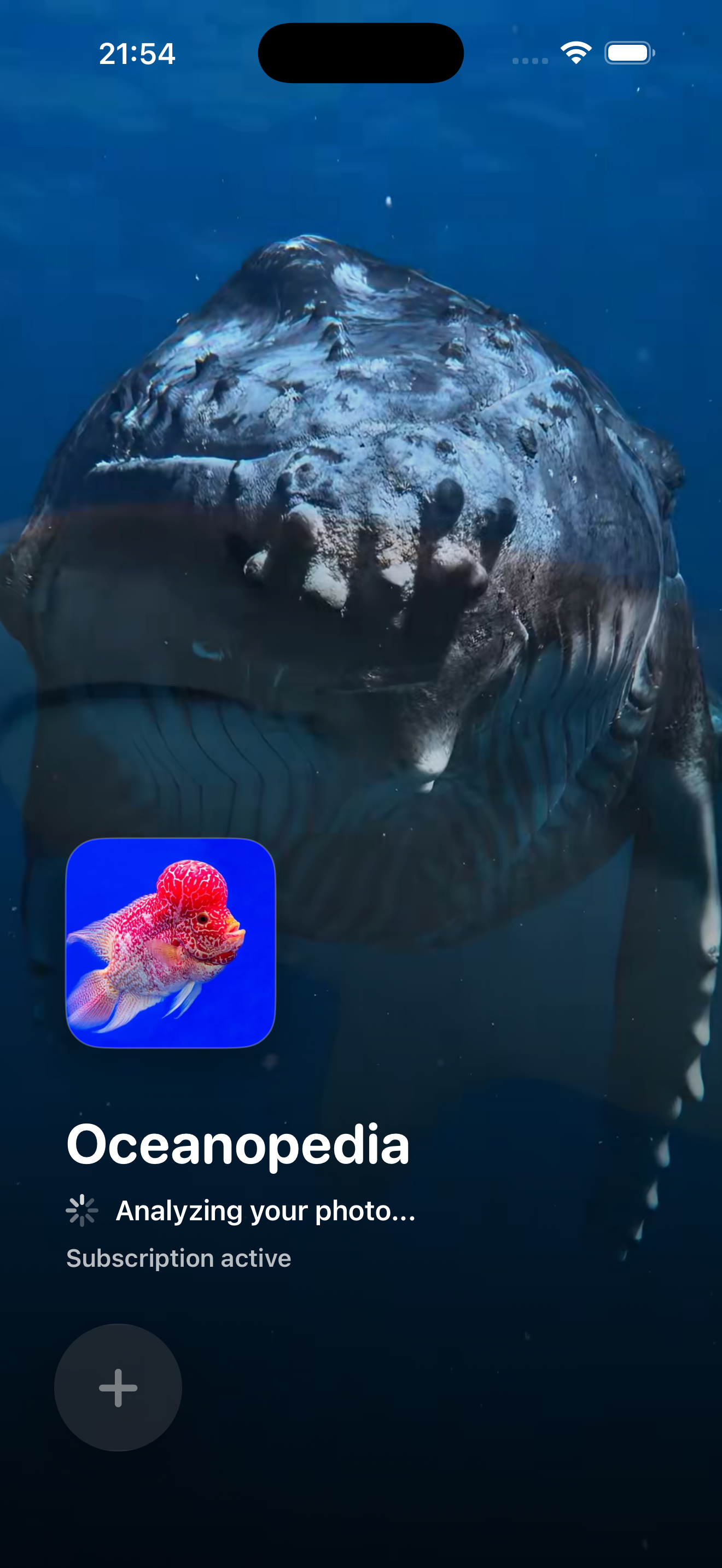 Oceanopedia app screenshot