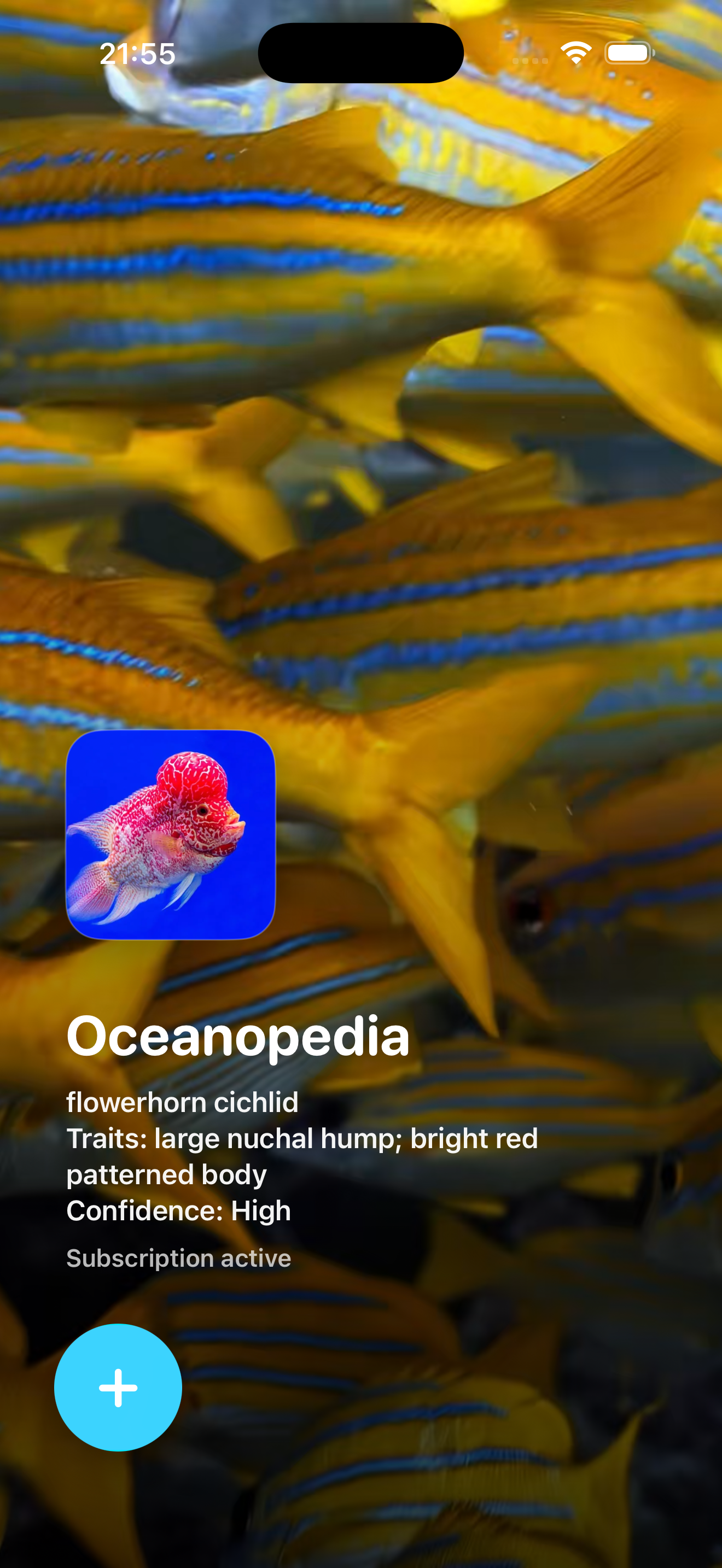 Oceanopedia app screenshot