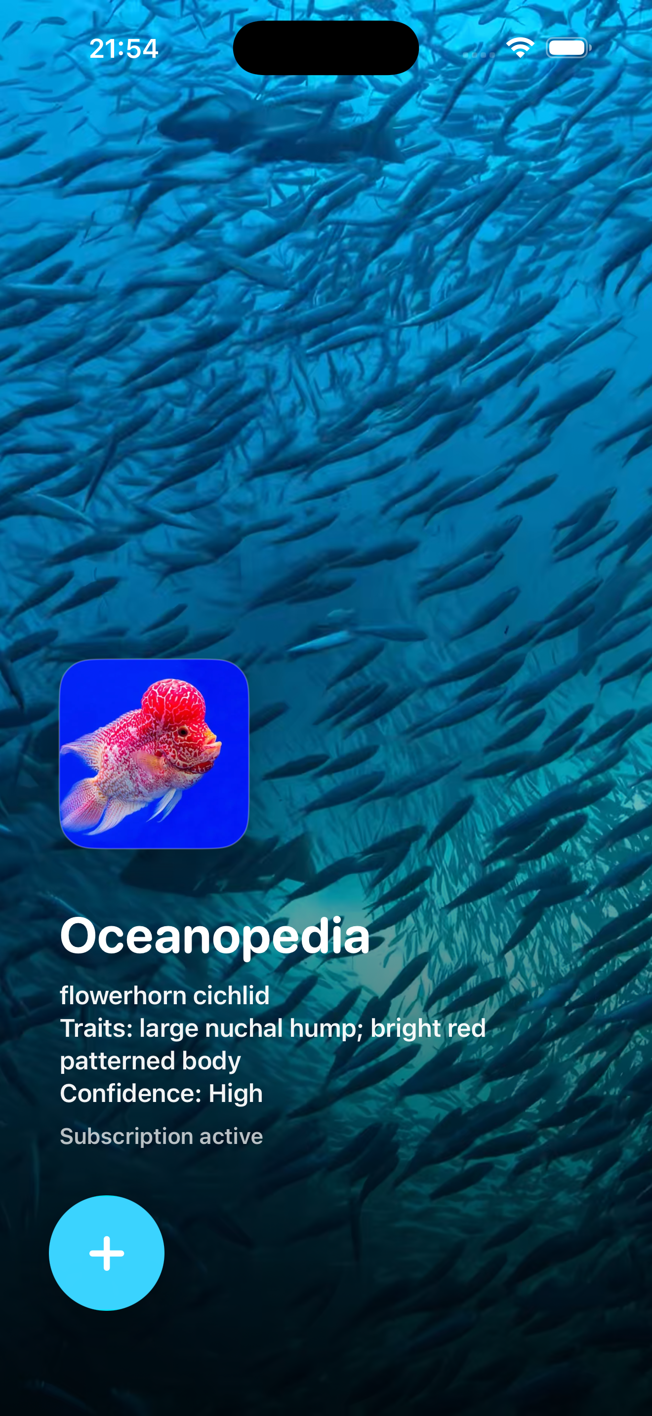 Oceanopedia app screenshot