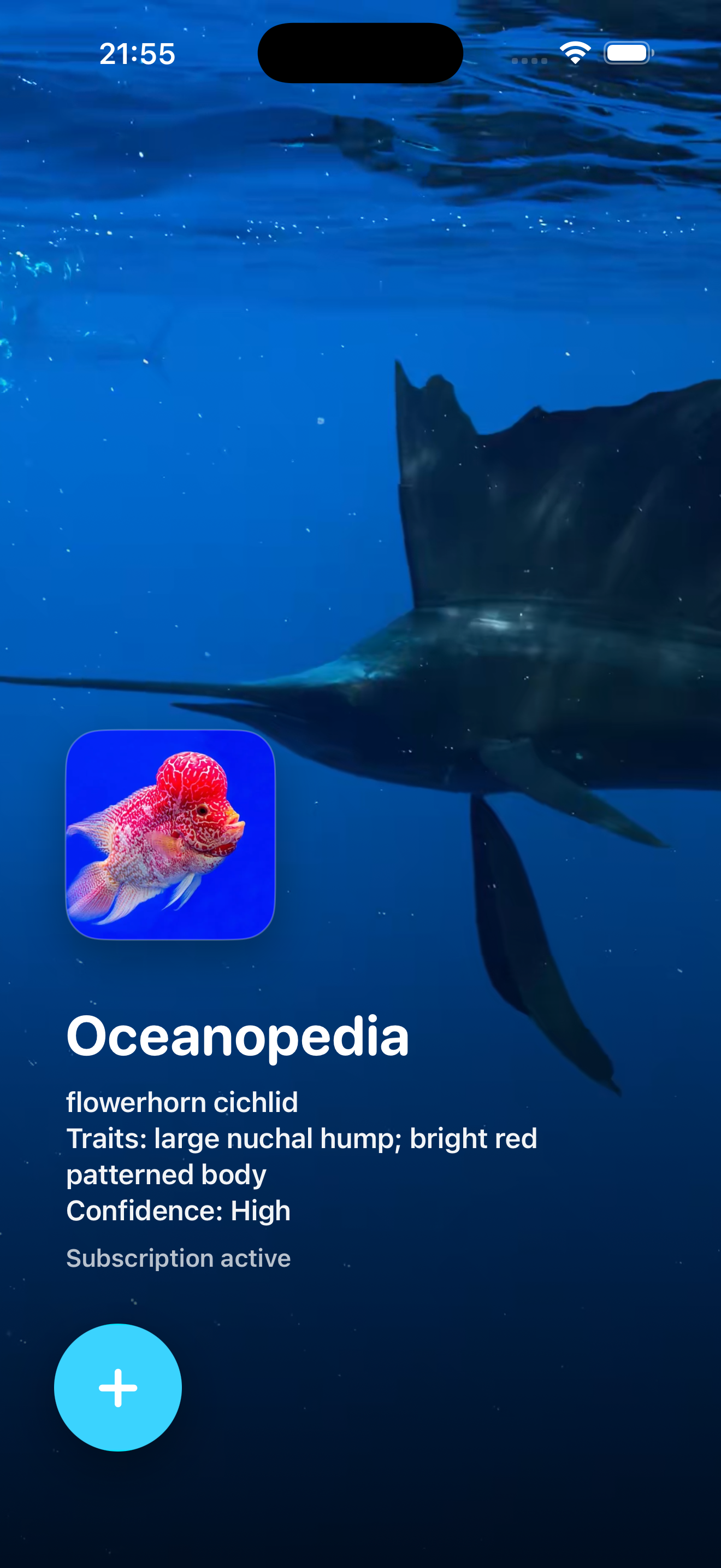 Oceanopedia app screenshot