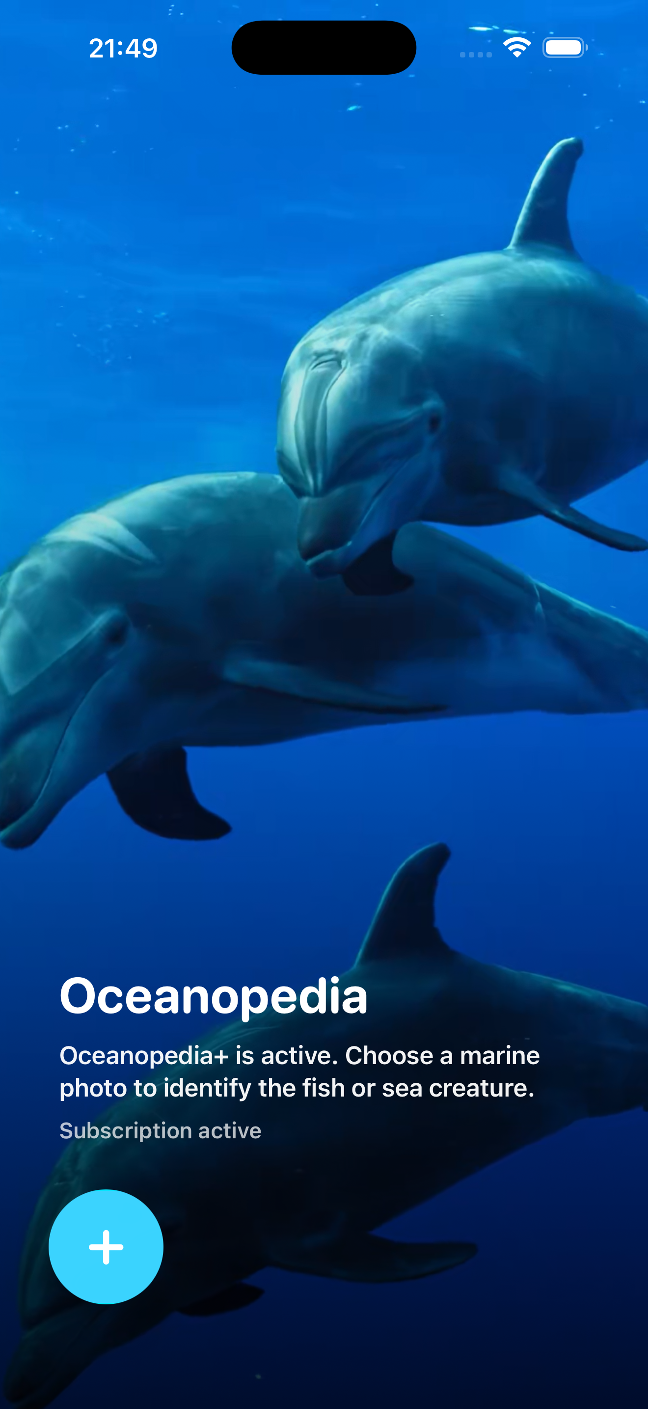Oceanopedia app screenshot